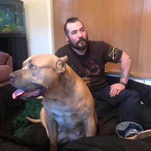 Meet your Posher, Justin